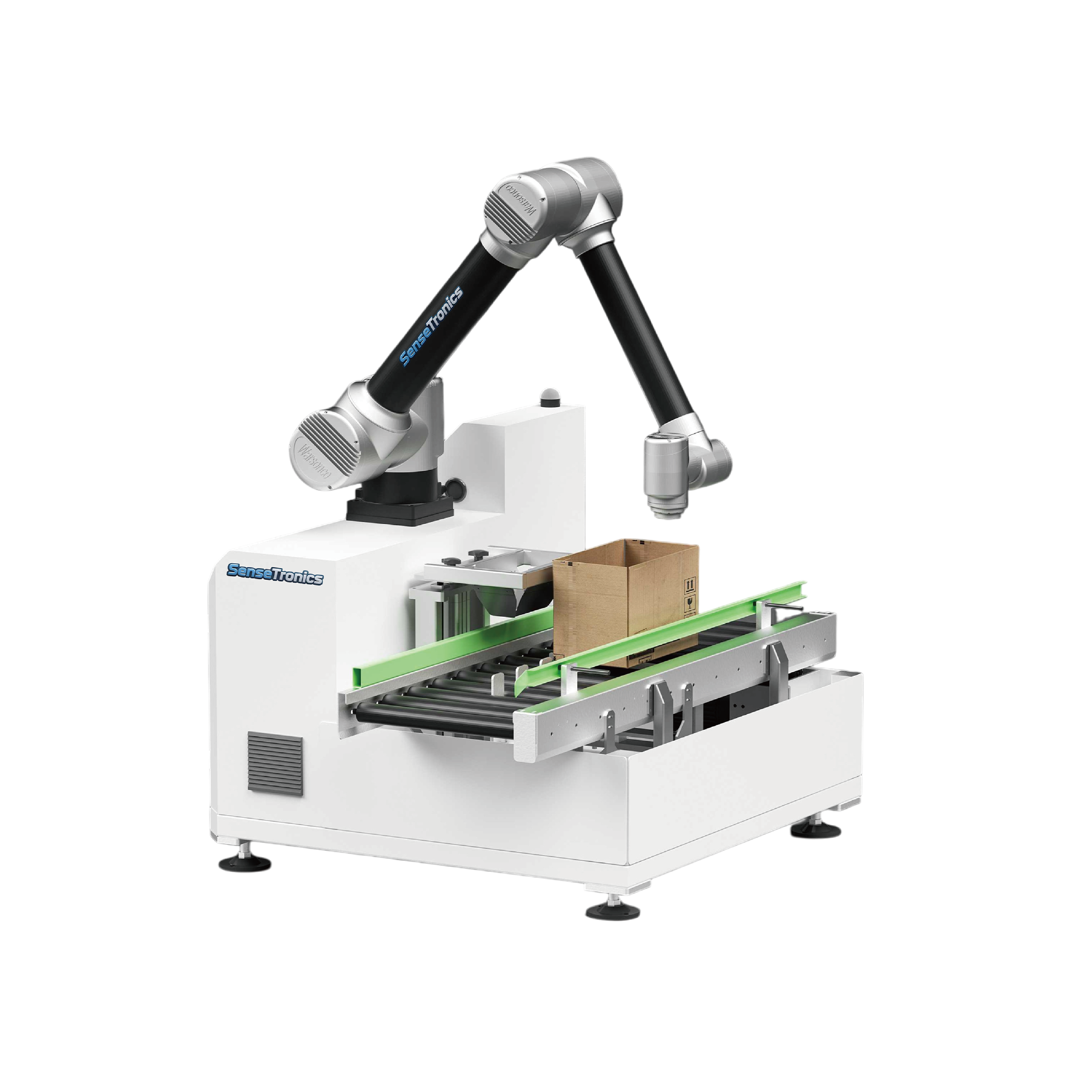 Palletizer Robot 1